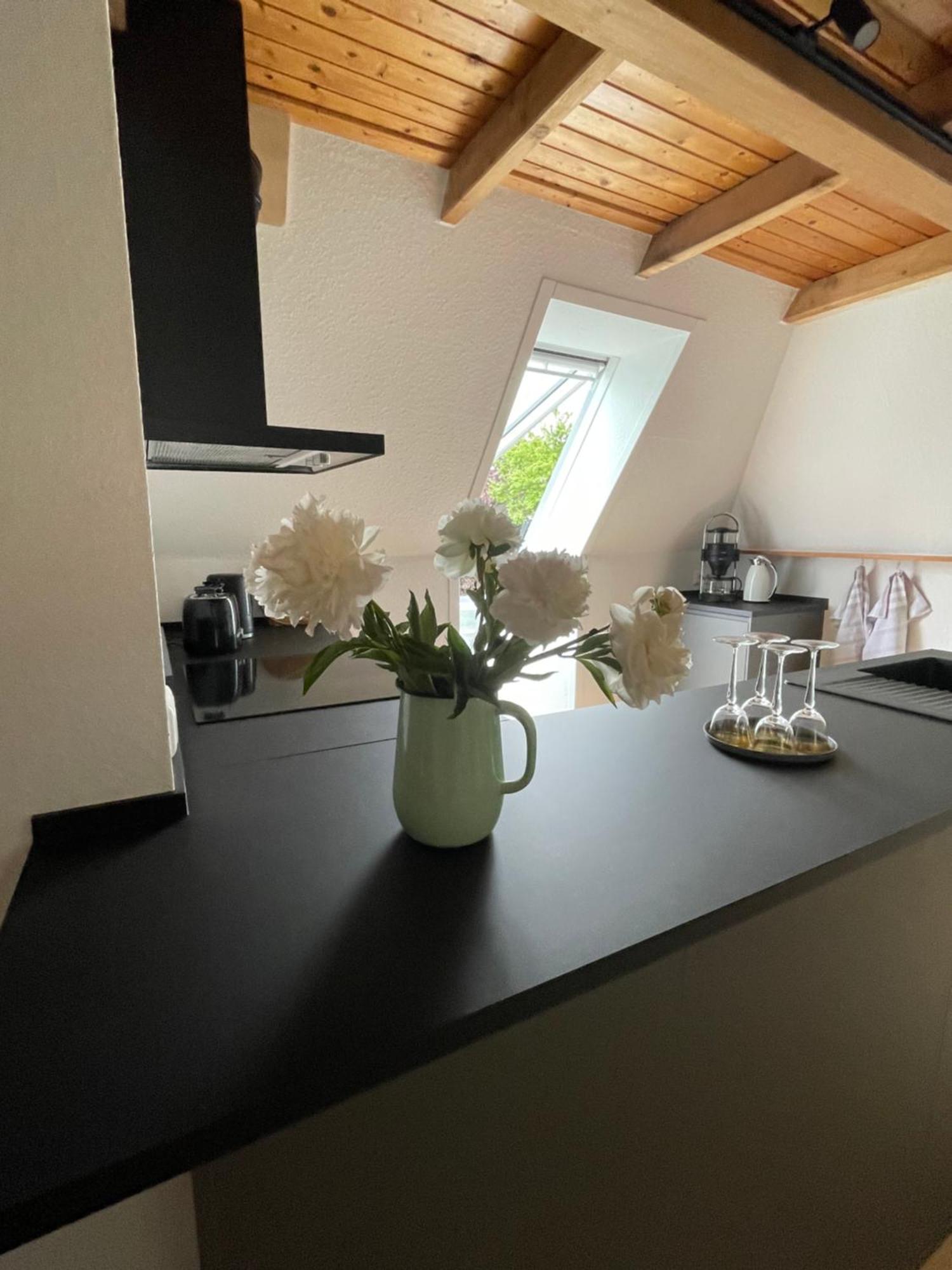 Fehrsland1 Apartman Dollerup Kültér fotó